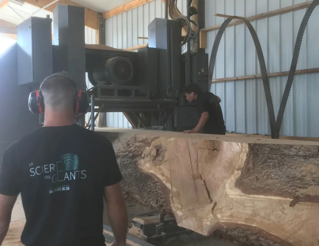 Découpe bois scierie Craon_24 06 21_Scierie des Géants